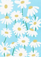 Blanco kaart met witte bloemen